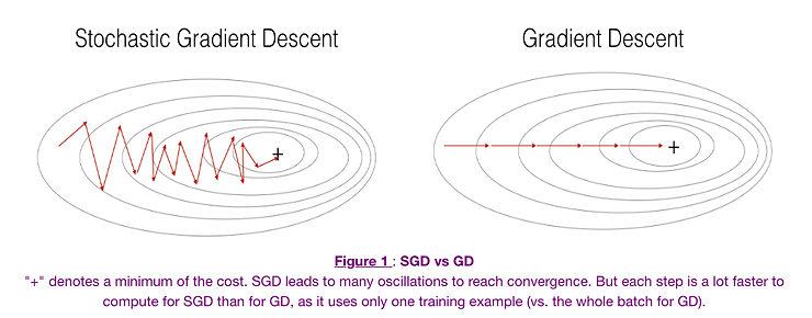 Comparison of GD vs SGD